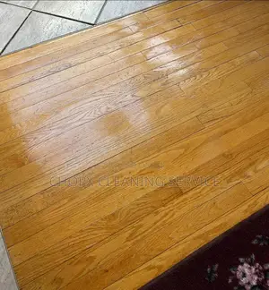 Best Cleaning Service in Ghana