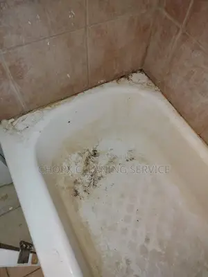 Best Cleaning Service in Ghana