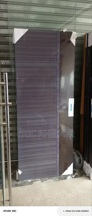 Quality New Design Paladin Security Door and Accessories