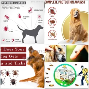 Fleas, Ticks, Rat, Cockroaches, Mosquitoes, Snake's Fumigati