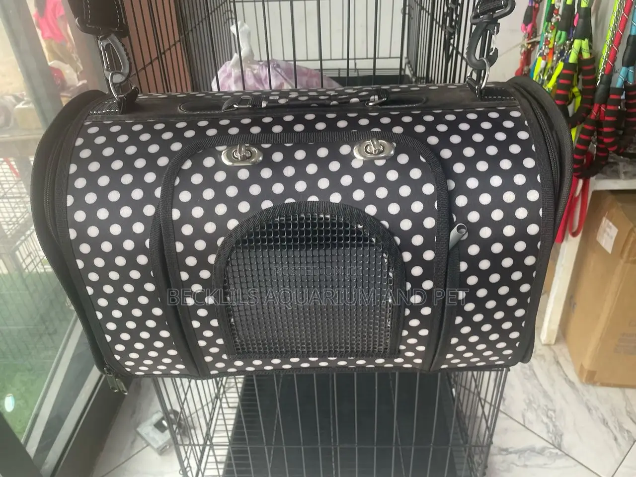 Carrier for Dogs and Cat