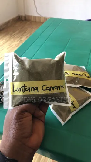 Lantana Camara Powder
