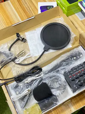 Professional Condenser Microphone