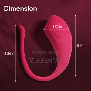 Egg Vibrator Sex Toy (App Controlled)