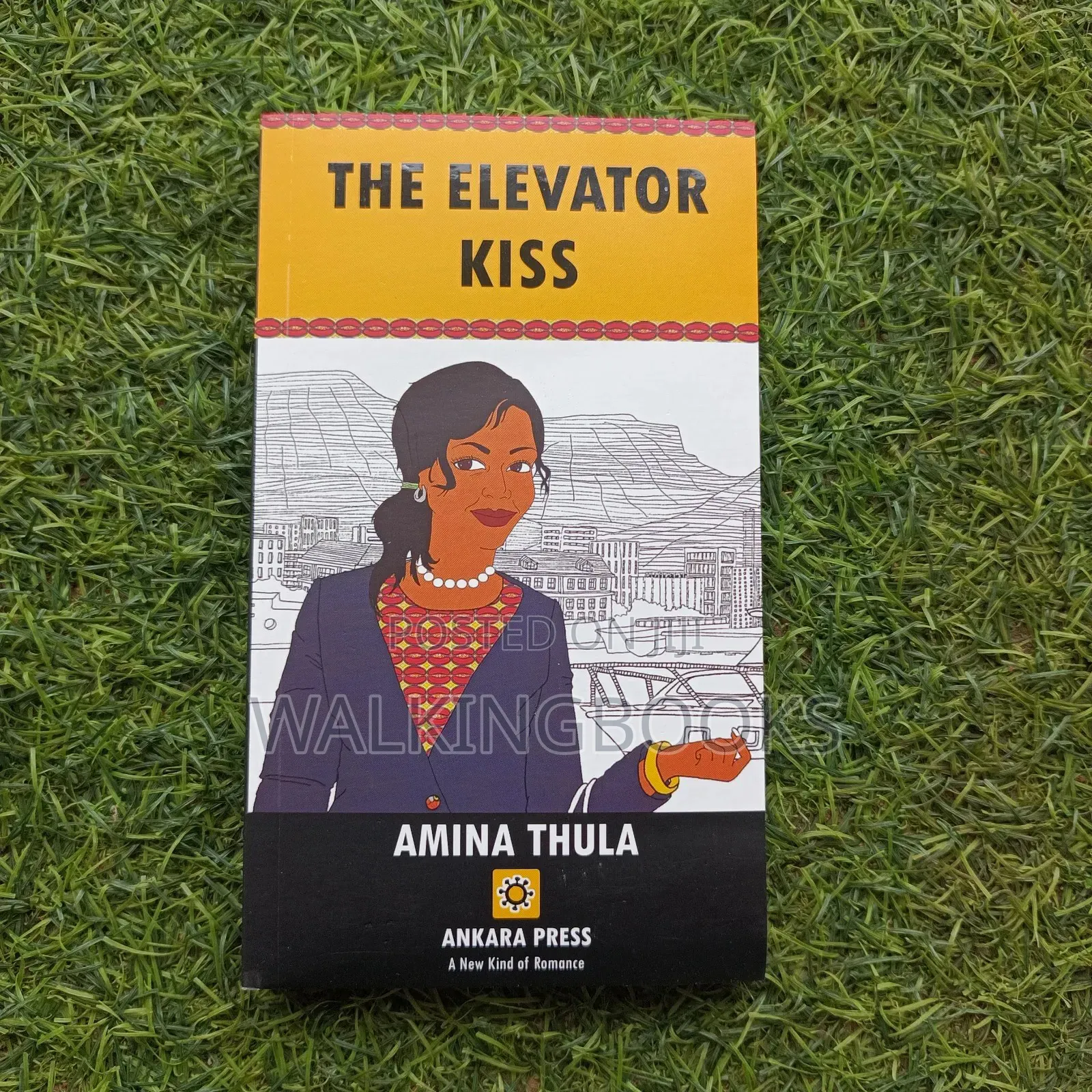 The Elevator Kiss- Amina Thula