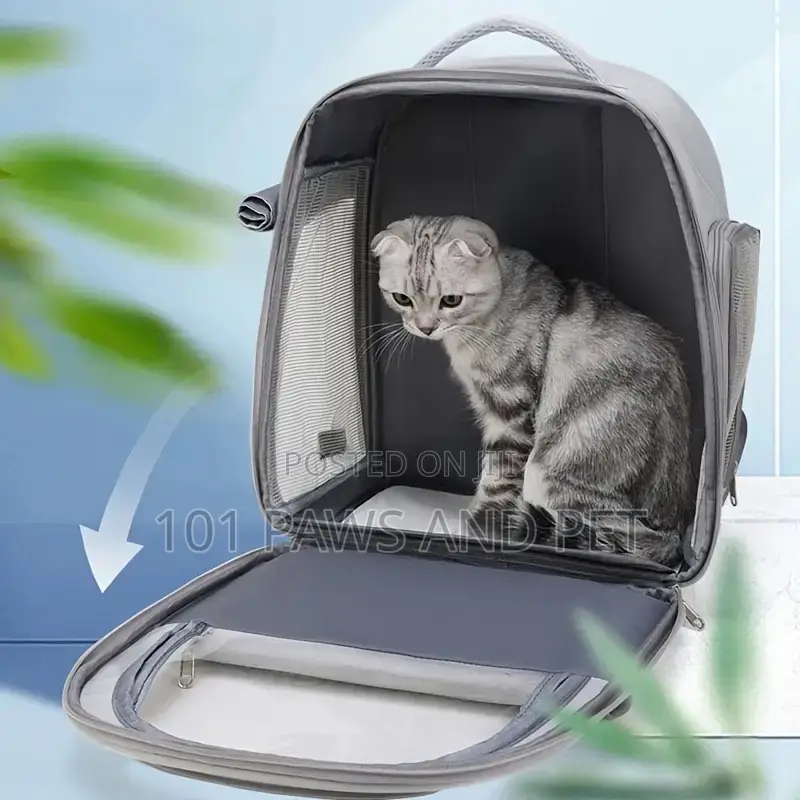 Morpet Pet Carrier