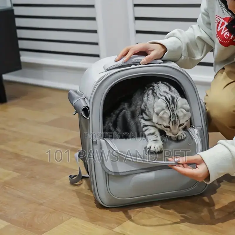 Morpet Pet Carrier