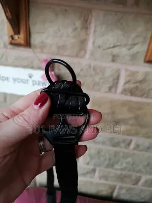 Haiti Pet Harness