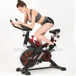 Lifespan Fitness Spin Exercise Bike