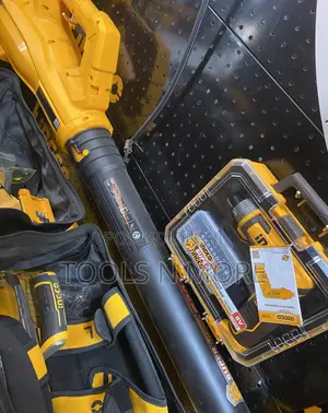Ingco Cordless Blower (With 1 4.0ah Battery and Charger)