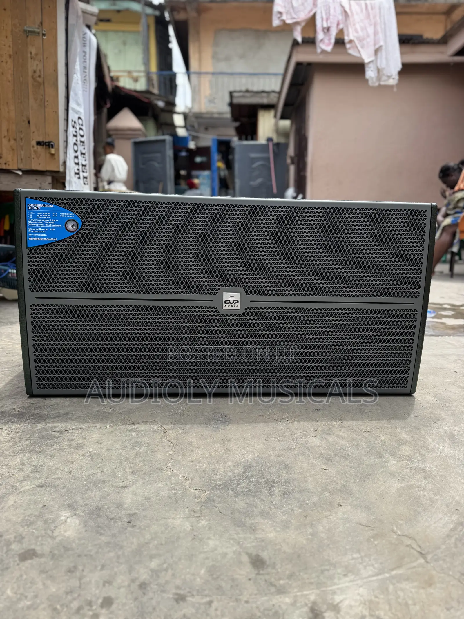 Lud 2(Pairs)Line Arrays and Bass With Full Amplifier Set