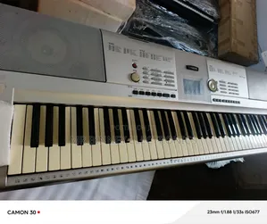 Yamaha Portable Grand Dgx205