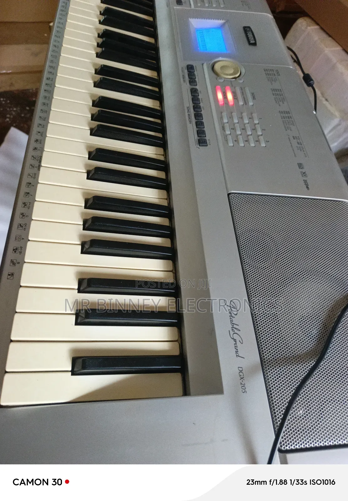Yamaha Portable Grand Dgx205