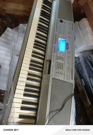 Yamaha Portable Grand Dgx300
