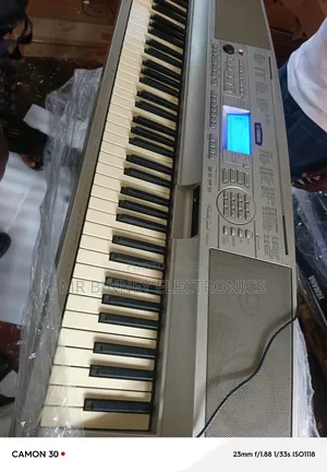Yamaha Portable Grand Dgx300