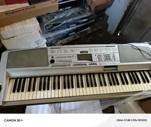 Yamaha Portable Grand Dgx300