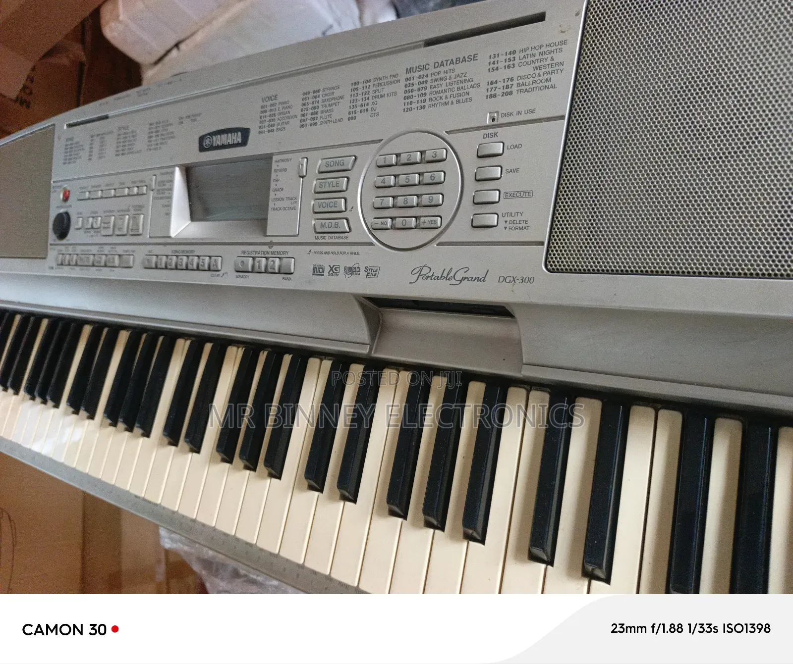Yamaha Portable Grand Dgx300