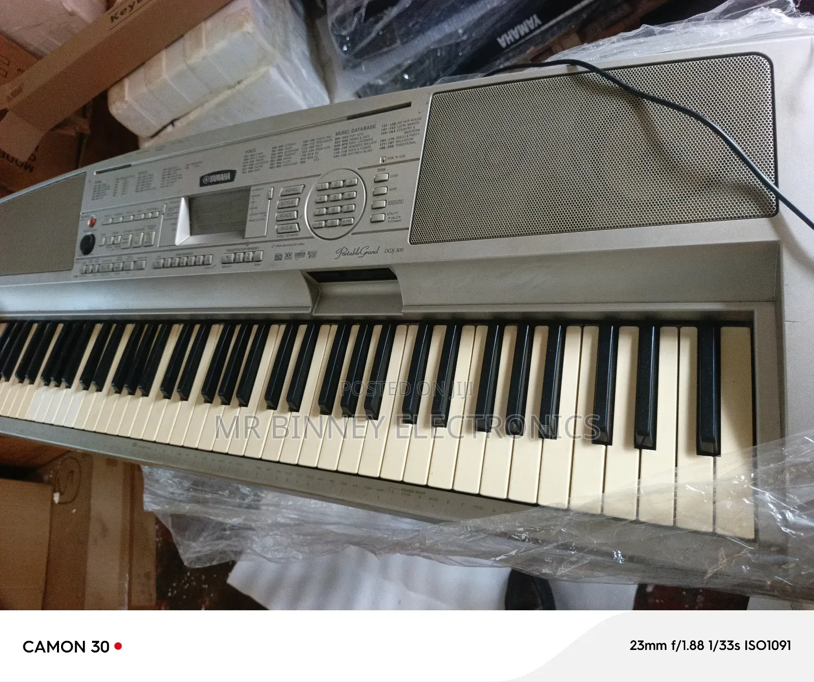 Yamaha Portable Grand Dgx300