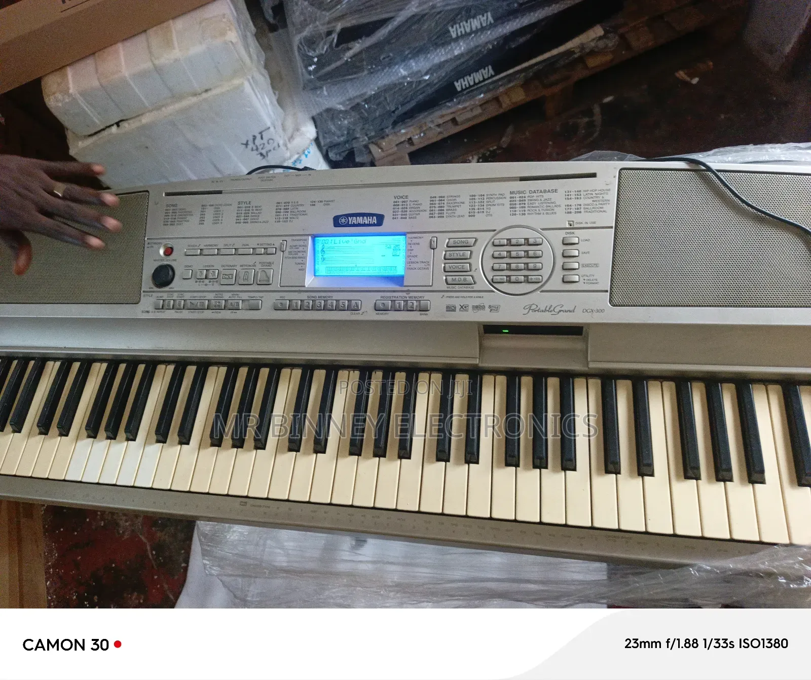 Yamaha Portable Grand Dgx300
