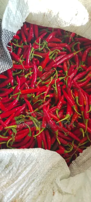 Dried Chilli Pepper