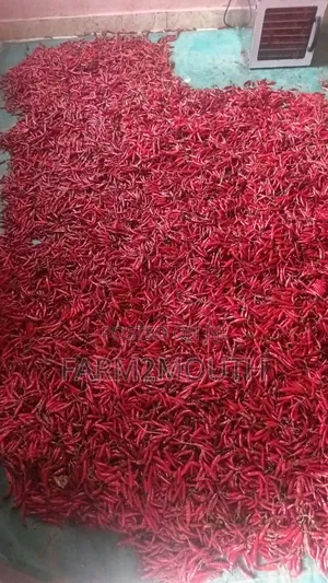 Dried Chilli Pepper