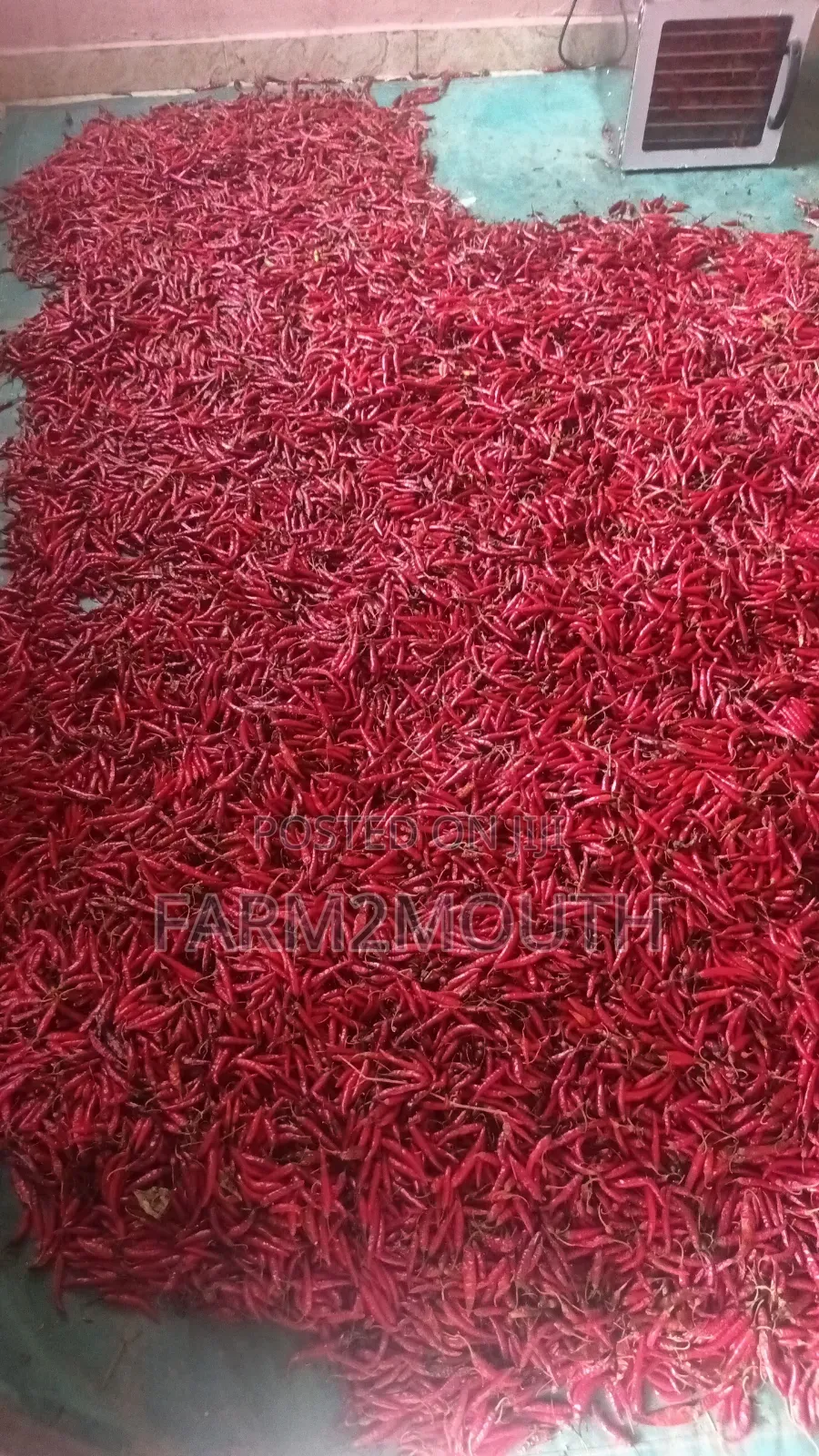 Dried Chilli Pepper