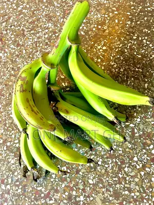 Plantains .Ripe and Unripe