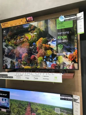Flat Panel Samsung 65 Inches Designed 4l Télévision