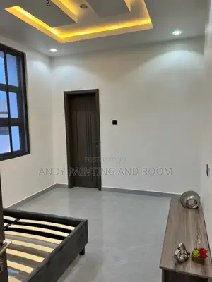 Professional Painting and Room Designer