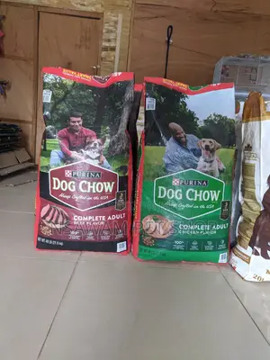 Dog Chow Feed