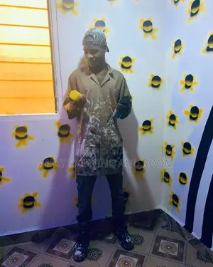 Pro 3d Wall Painter