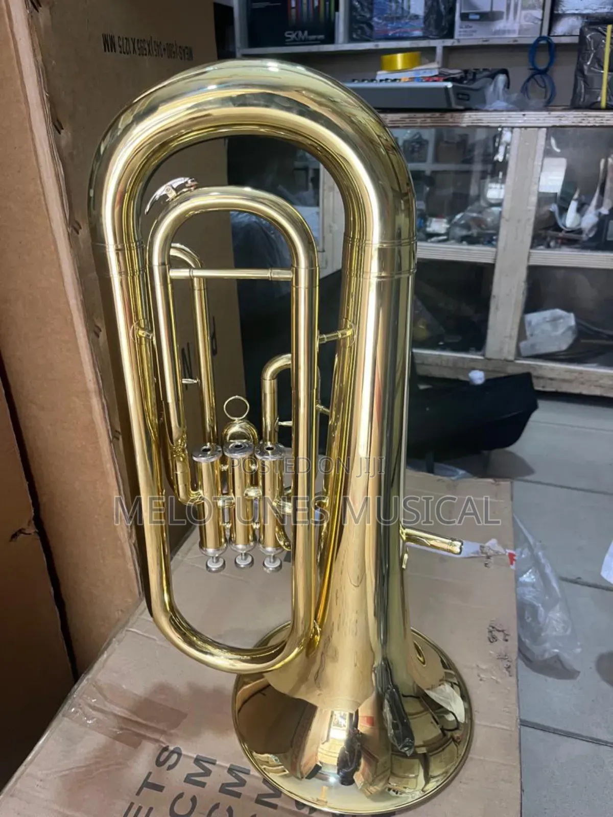 Yamaha Professional Euphonium
