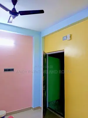 Pro 3d Professional Painting Service