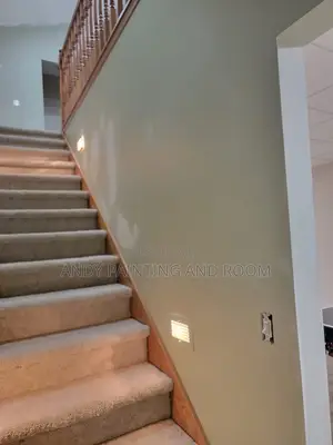 Cool Painting and Design Experts