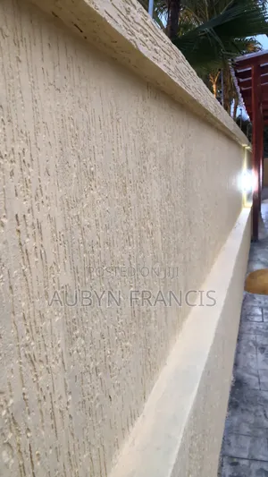Professional Graffiato And Stucco Painting Expert