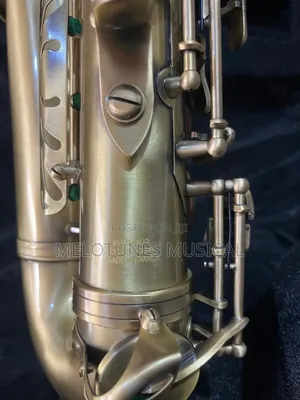 Selmer Sas-802 Alto Saxophone