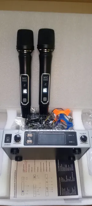 2 in 1 Cordless Rechargeable Mic