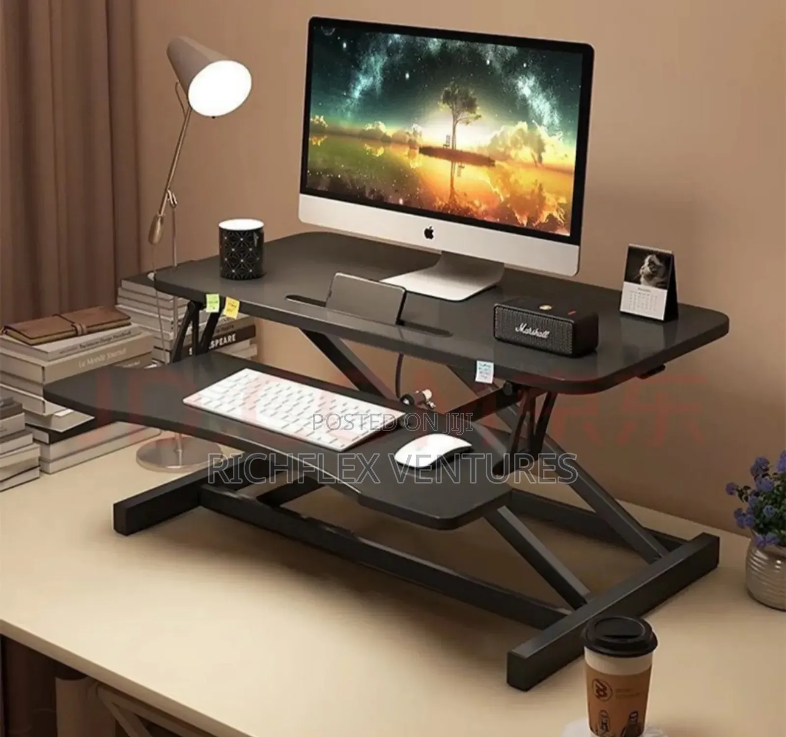 Adjustable Sit and Stand Workstation/Desk