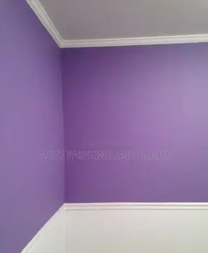 Mr Pro Painting and 3d Designer