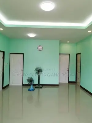 Professional Painting and 3d Wall Designing