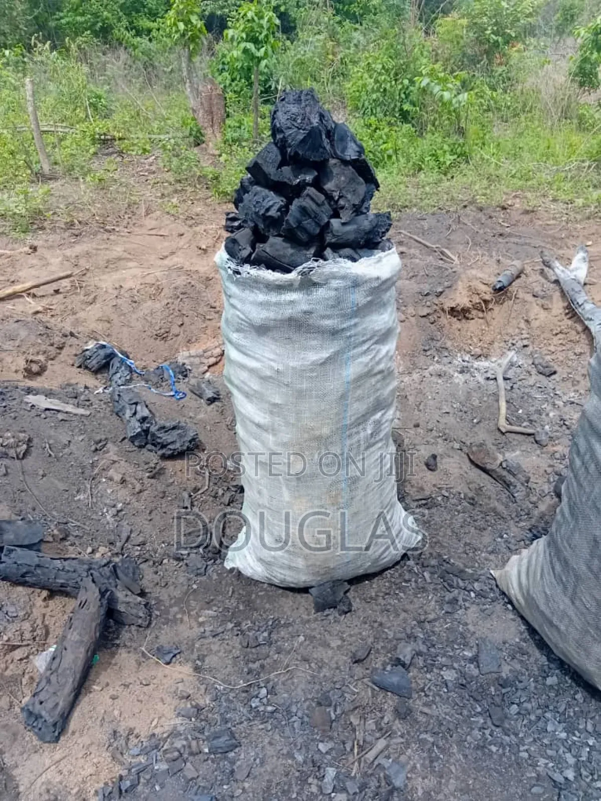 Premium Wood Charcoal