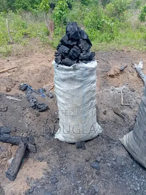 Premium Wood Charcoal
