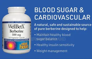 Natural Factors, Wellbetx Berberine 500mg (Sugar Support )