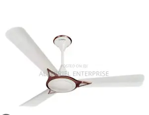 Long Blade Ceiling Fan