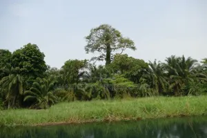 30 Plots of Land for Sale at Atimpoku