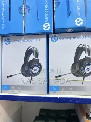 Hp120 Computer Headphone