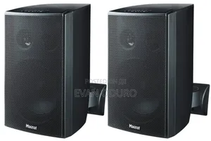 Powerful German Brand Wall Speaker Hotel/Restaurant/Living Room/Church