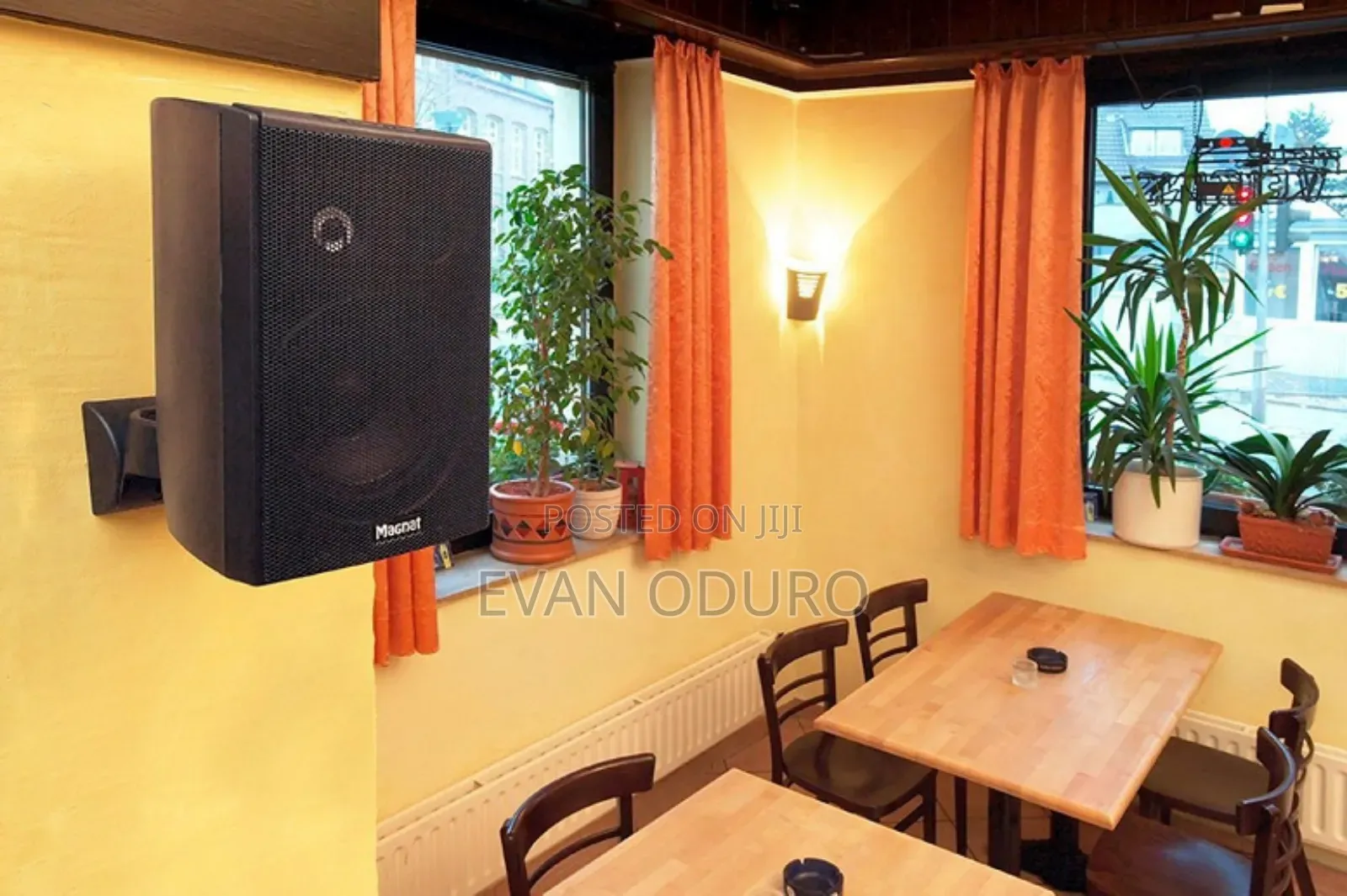 Powerful German Brand Wall Speaker Hotel/Restaurant/Living Room/Church