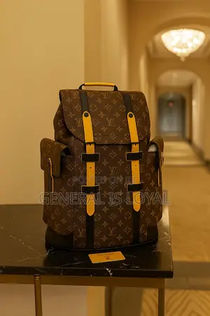 Louis Vuitton Backpack Brown