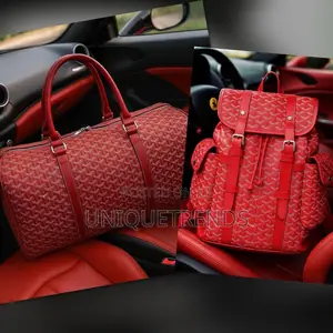 Goyard Travel Bags Set